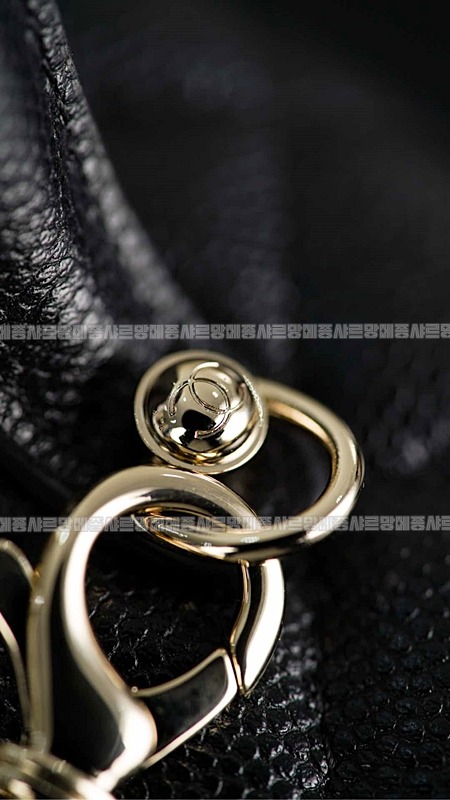 샤넬25P탑핸들베니티백 20260209-110201-027루.jpg