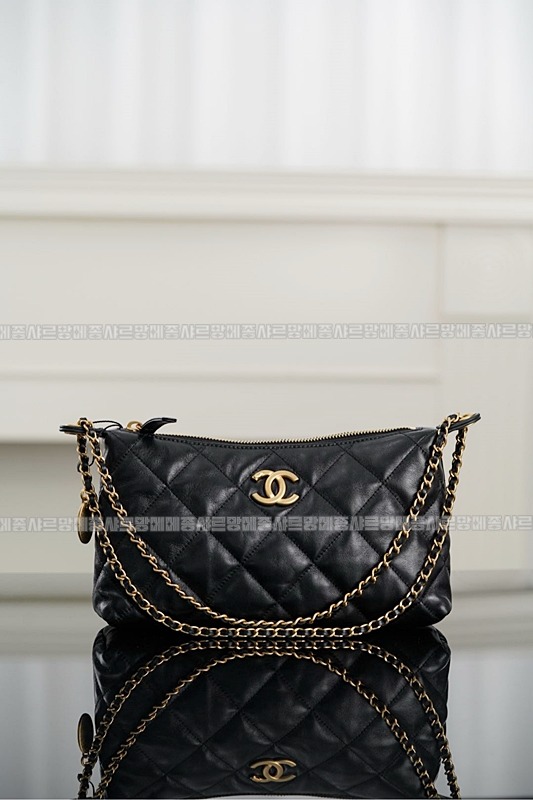 샤넬호보핸드백 20260209-145604-010루.jpg