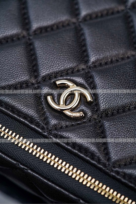 샤넬램스킨베니티금장 20260210-131735-019루.jpg