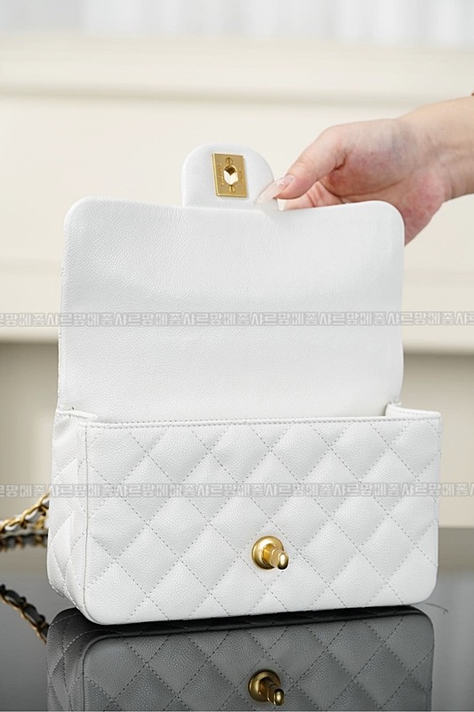 샤넬탑핸들대미니플랩백 20260211-101107-016루.jpg