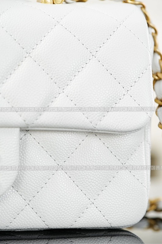 샤넬탑핸들대미니플랩백 20260211-101108-022루.jpg