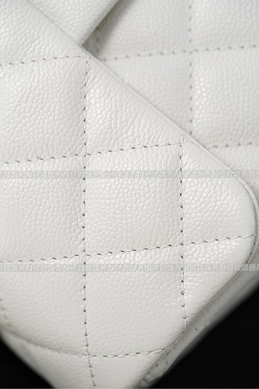 샤넬탑핸들대미니플랩백 20260211-101108-023루.jpg