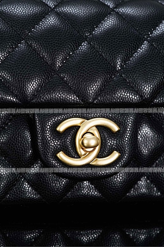 샤넬탑핸들대미니플랩백 20260211-102059-028루.jpg