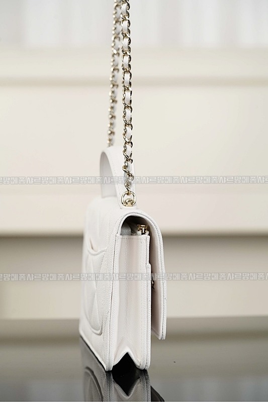 샤넬탑핸들WOC 20260211-125731-012루.jpg