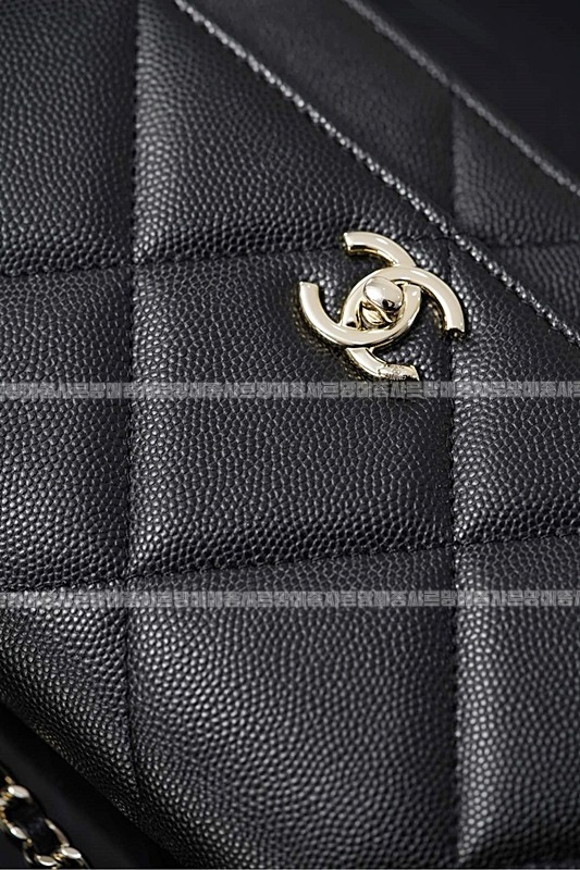 샤넬탑핸들WOC 20260211-130432-028루.jpg