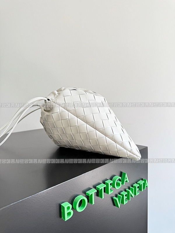 보테가베네타더스트백 20260212-120947-002루.jpg