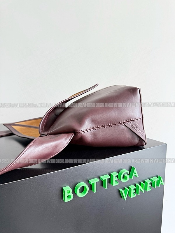 보테가베네타소이어백 20260212-123305-004루.jpg