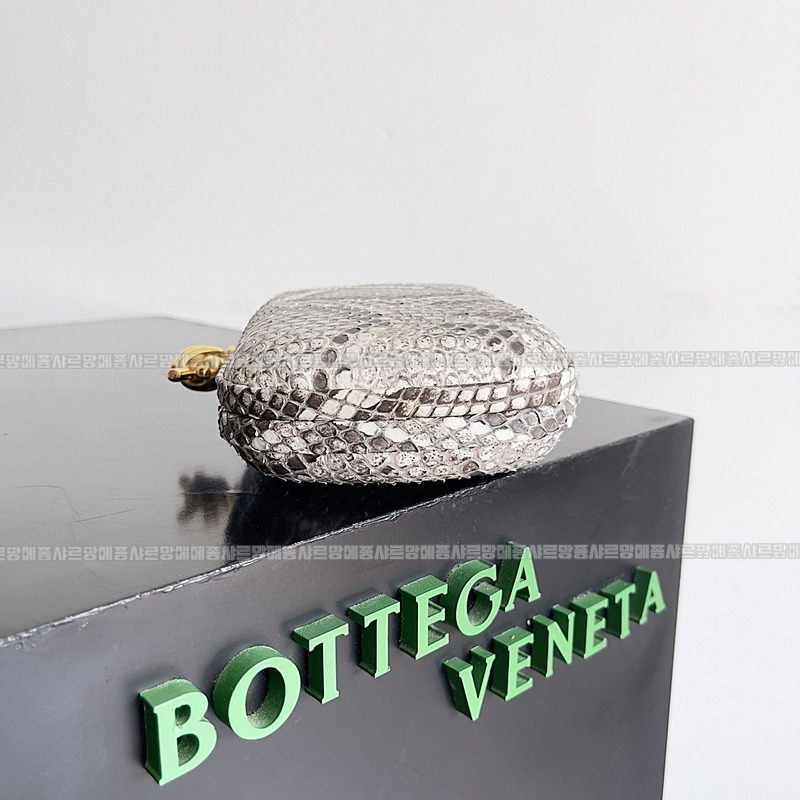 보테가베네타놋뱀가죽  20260220-161322-002루.jpg