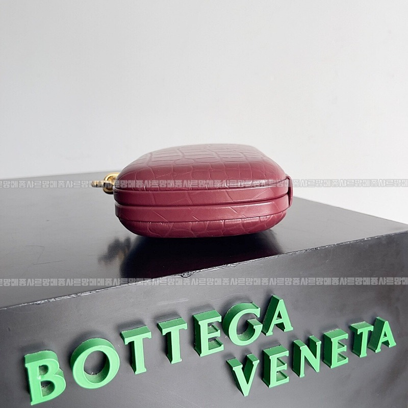 보테가베네타놋크로커다일  20260220-162400-009루.jpg