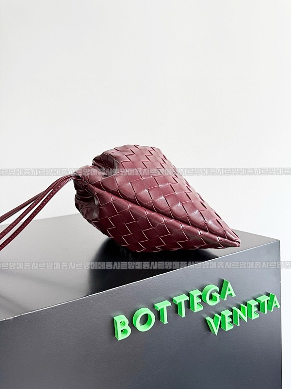 보테가베네타미디움더스트백 20260224-105024-002루.jpg