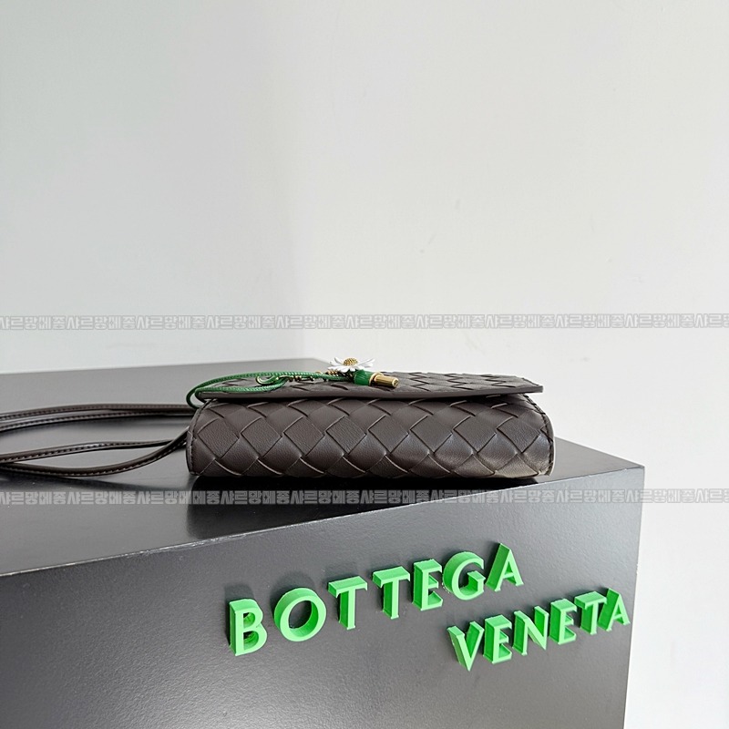 보테가베네타안디아모데이지파우치 20260301-113042-004루.jpg