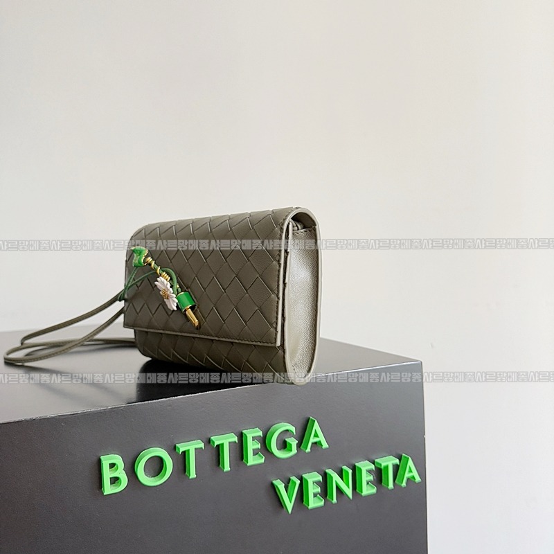 보테가베네타안디아모데이지파우치 20260301-113245-002루.jpg