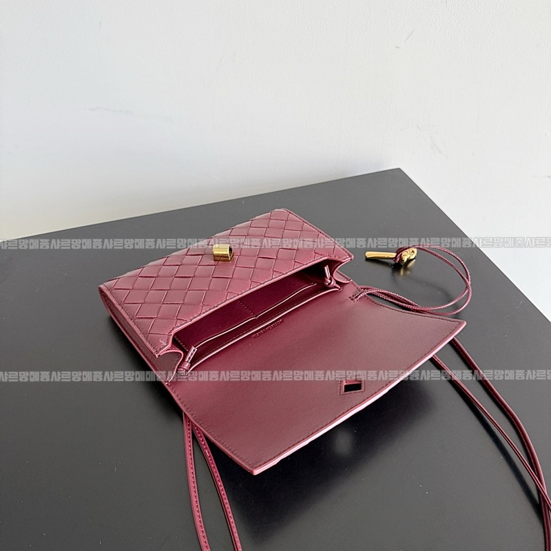 보테가베네타안디아모데이지파우치 20260301-113424-007루.jpg