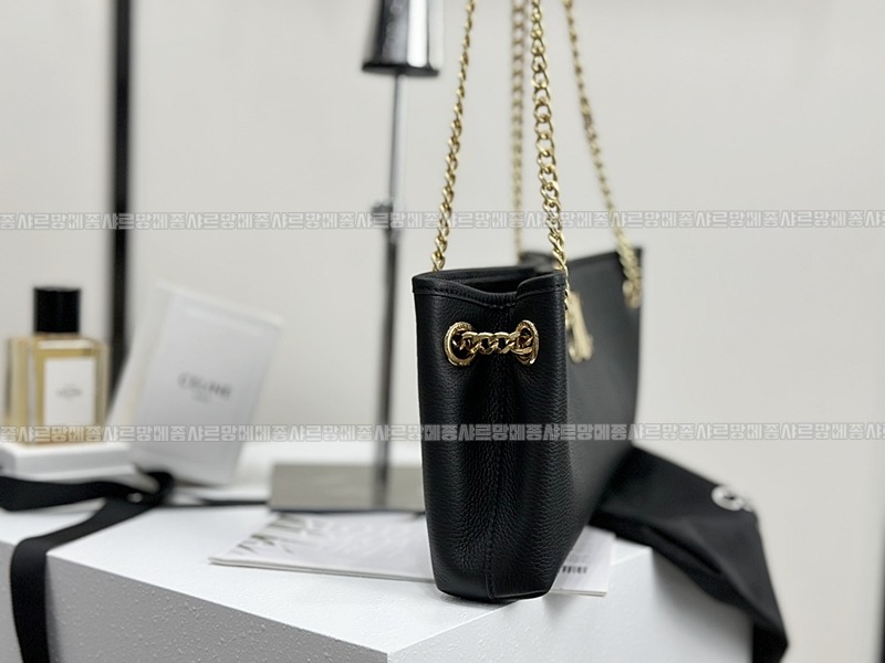 셀린느미디움뉴스페이퍼백  20260305-140918-004루.jpg