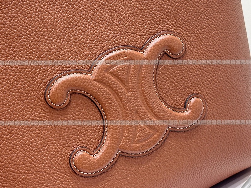 셀린느미니카바스아나이스퀴르트리옹프  20260305-164522-010루.jpg