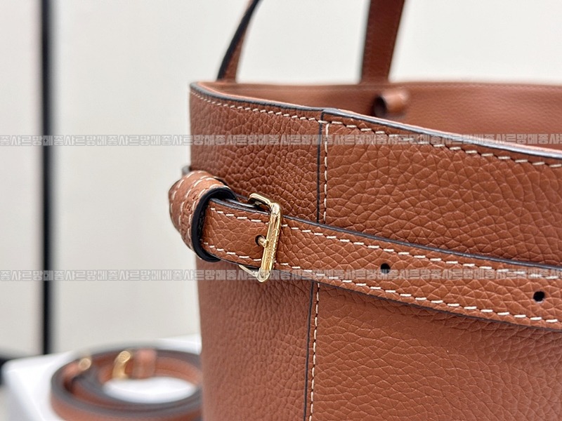 셀린느미니카바스아나이스퀴르트리옹프  20260305-164523-014루.jpg