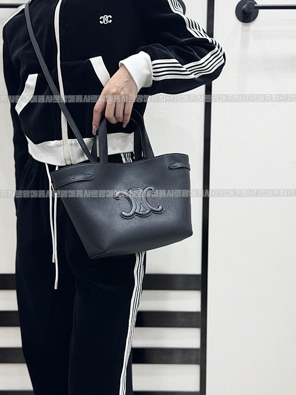 셀린느미니카바스아나이스퀴르트리옹프  20260305-164915-018루.jpg