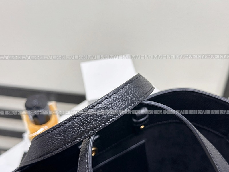 셀린느미니카바스아나이스퀴르트리옹프  20260305-164914-012루.jpg