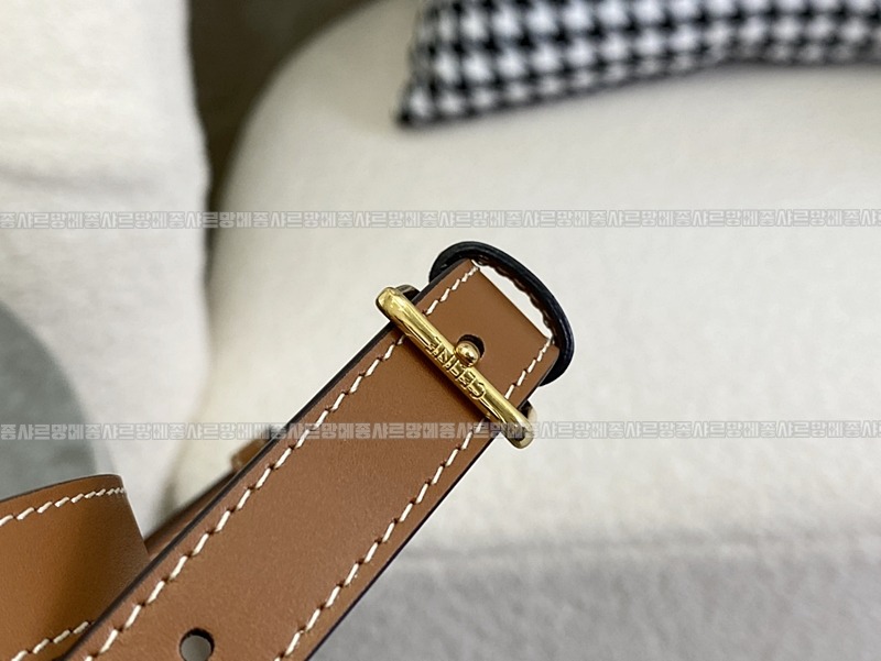 셀린느클레아베사체백 20260306-134311-011루.jpg