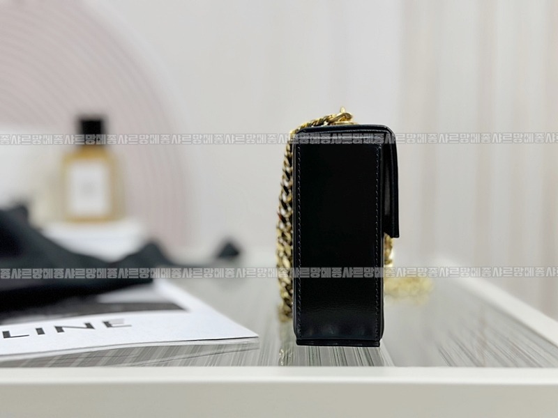 셀린느트리오페미니박스백 20260307-125801-004루.jpg