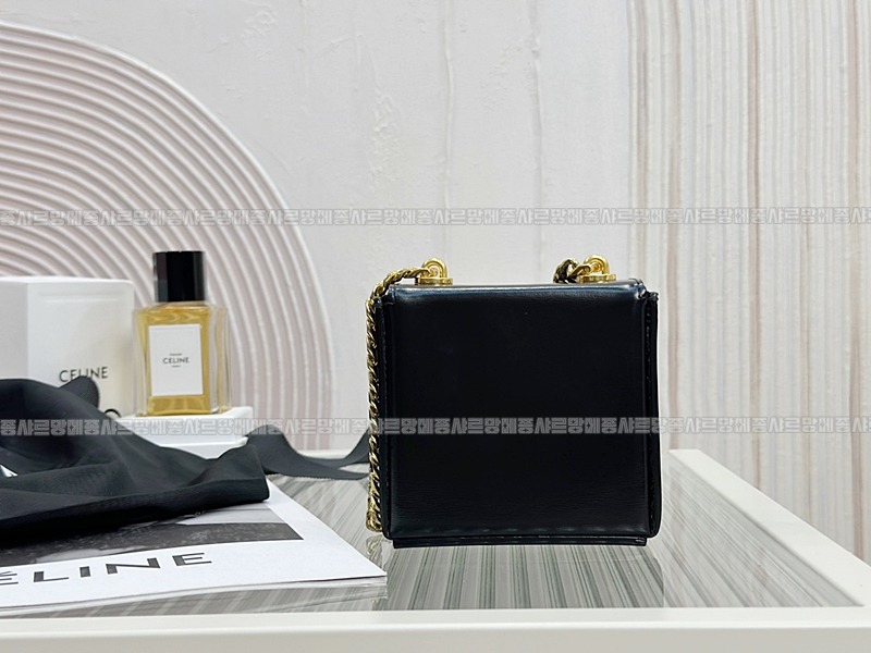 셀린느트리오페미니박스백 20260307-125803-018루.jpg