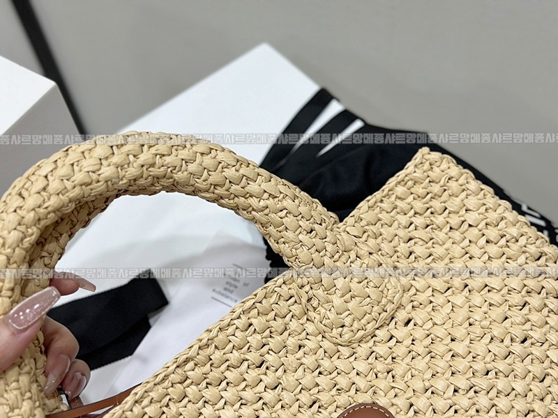 셀린느라피아스몰바스켓백 20260307-161401-005루.jpg