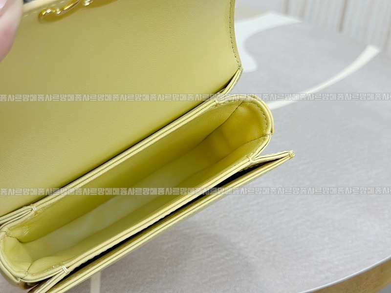 셀린느크레아베사체백미니 20260308-170941-014루.jpg