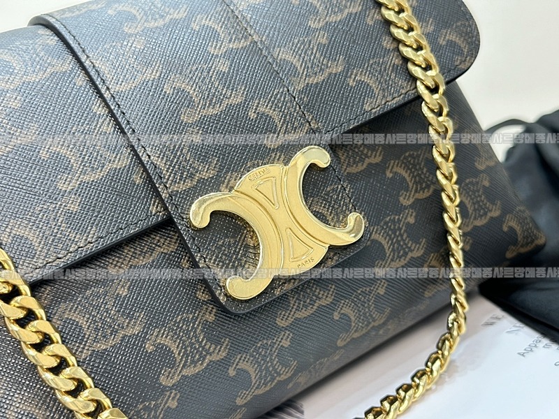 셀린빅투아르백트리옹프스몰 20260309-104348-010루.jpg