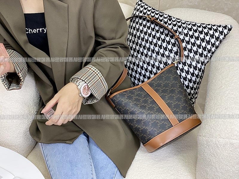 셀린느버킷트리옹프미디움  20260310-104853-016루.jpg