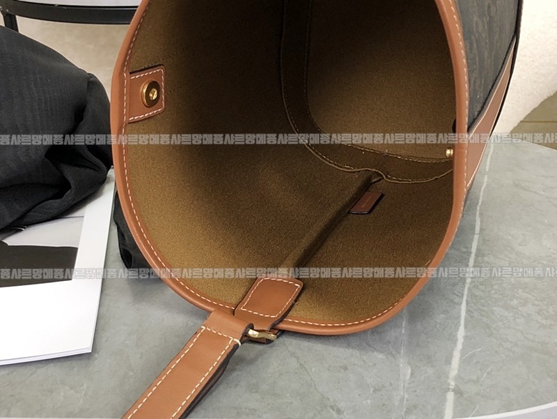 셀린느버킷트리옹프미디움  20260310-104851-005루.jpg