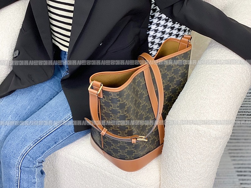 셀린느버킷트리옹프미디움  20260310-110312-018루.jpg