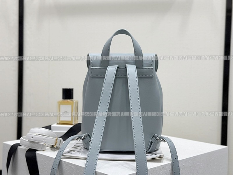 셀린느보니백팩      20260310-144959-003루.jpg