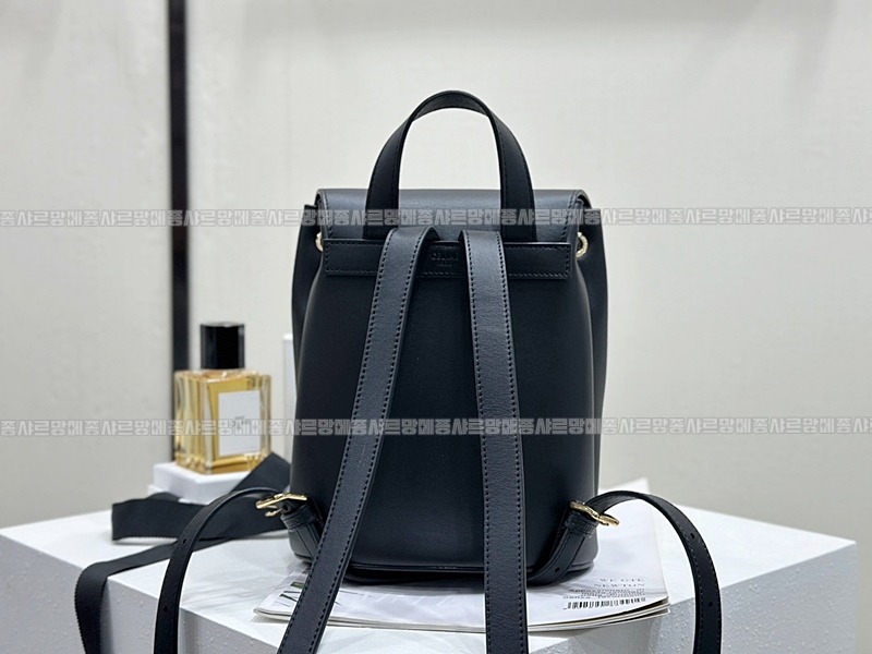 셀린느보니백팩      20260310-152035-003루.jpg