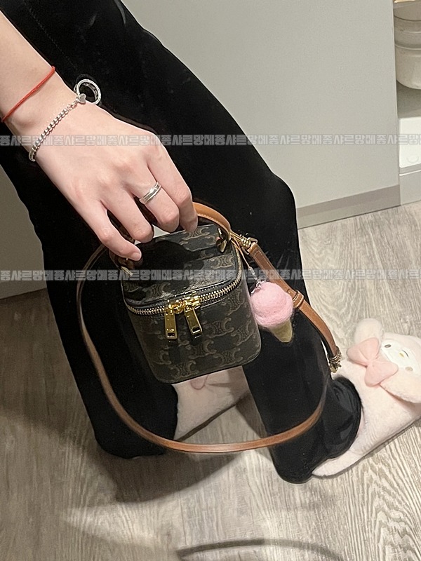 셀린느트리옹프켄버스미니  20260311-112634-021루.jpg