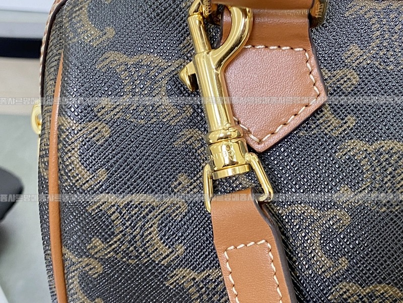 셀린느보스턴트리옹프켄버스스몰  20260311-140351-008루.jpg