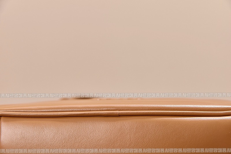 미우미우보우레더백  20260314-104720-014루.jpg