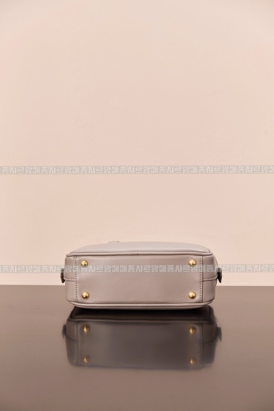 미우미우아르카디백  20260314-125903-011루.jpg