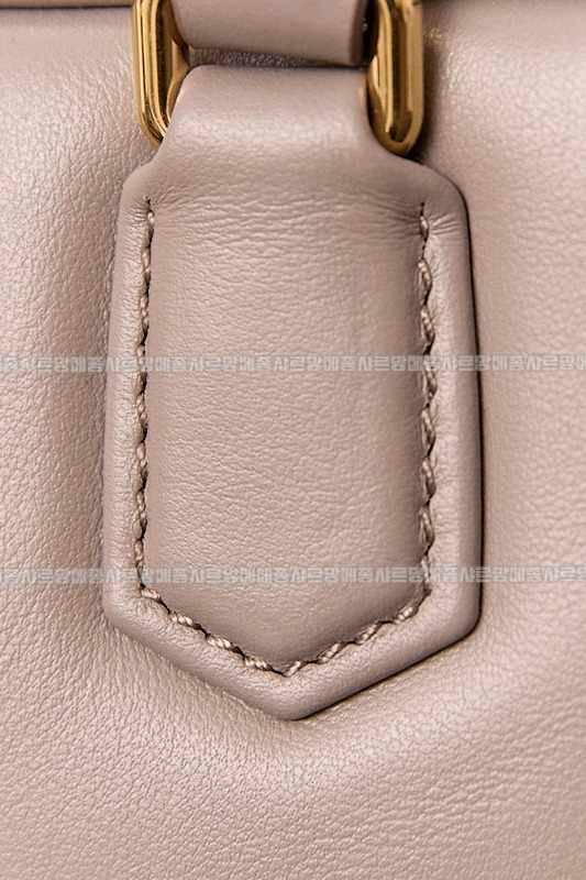 미우미우아르카디백  20260314-130928-011루.jpg