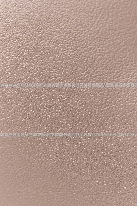 미우미우아르카디백  20260314-130928-015루.jpg