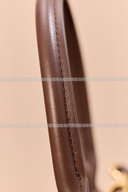 미우미우아르카디백  20260314-132951-012루.jpg