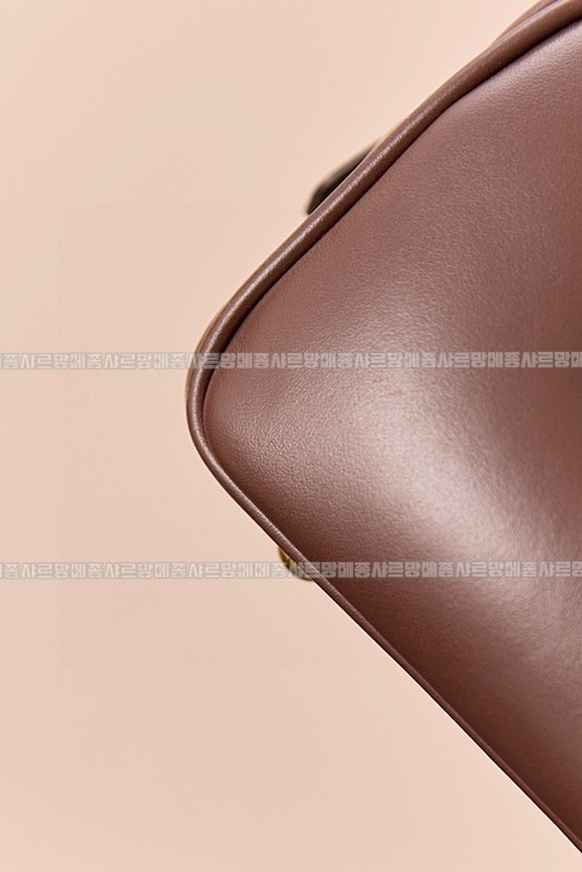 미우미우아르카디백  20260314-133529-014루.jpg