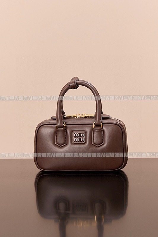 미우미우아르카디백  20260314-133833-004루.jpg