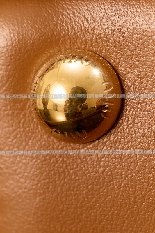 미우미우아르카디백  20260314-140908-016루.jpg