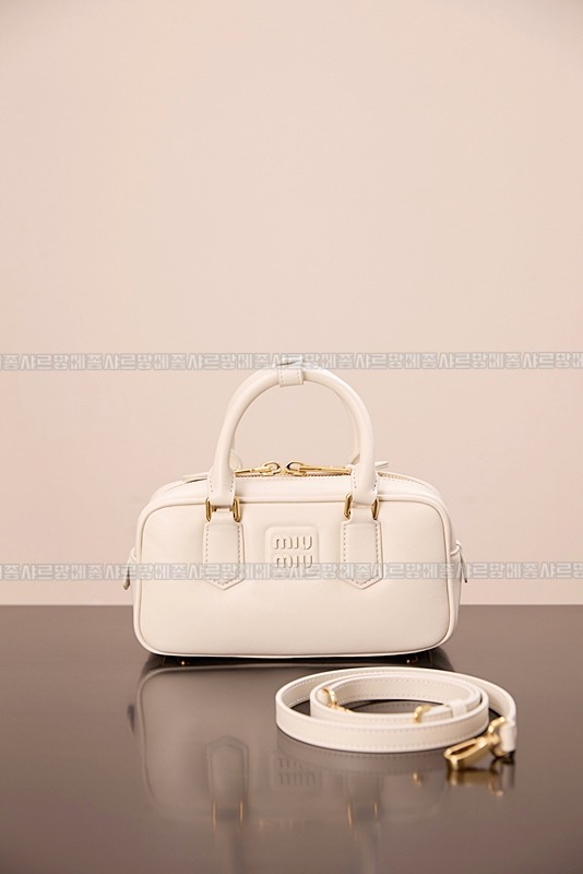 미우미우아르카디백  20260314-141841-001루.jpg