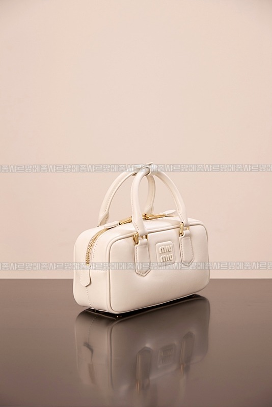 미우미우아르카디백  20260314-141842-005루.jpg