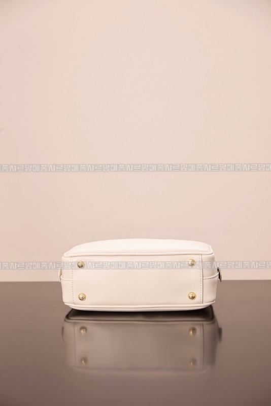 미우미우아르카디백  20260314-141842-006루.jpg