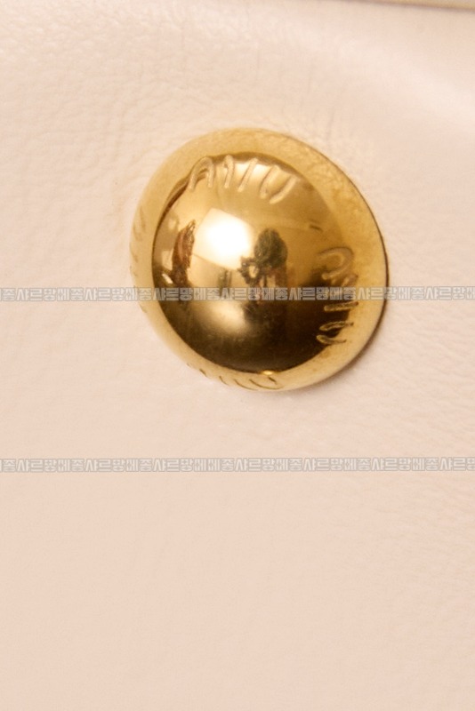 미우미우아르카디백  20260314-141843-012루.jpg