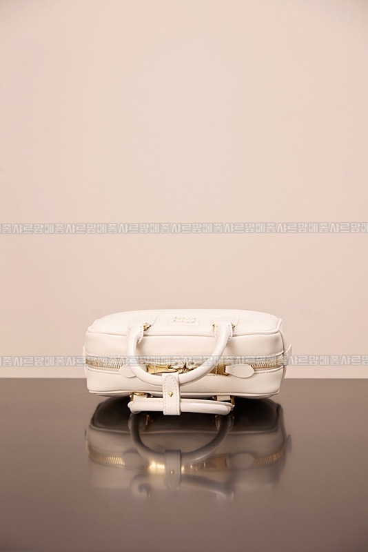 미우미우아르카디백  20260314-141842-008루.jpg