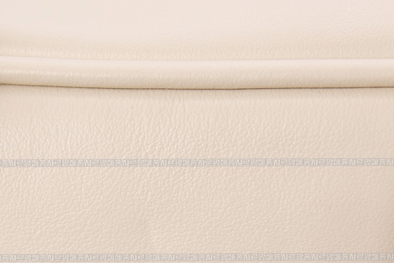 미우미우아르카디백  20260314-141844-016루.jpg