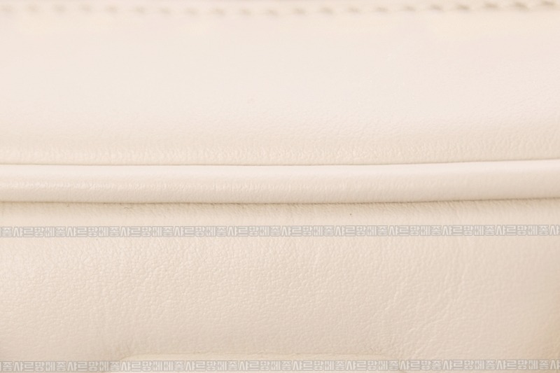 미우미우아르카디백  20260314-141844-018루.jpg